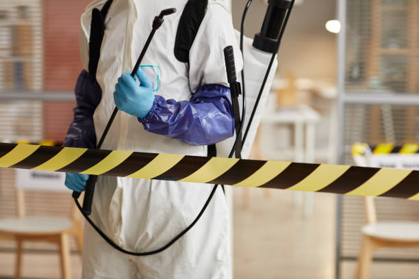 Professional Sewage Cleanup technician working in Cedar Springs, MI