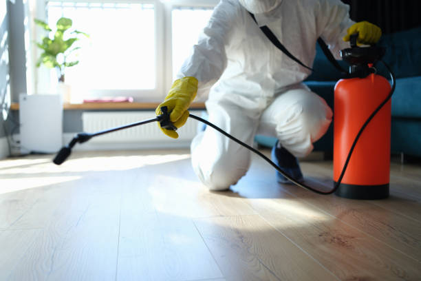 Trusted Sewage Cleanup service in Cedar Springs, MI - Four Month Blood Cleanse